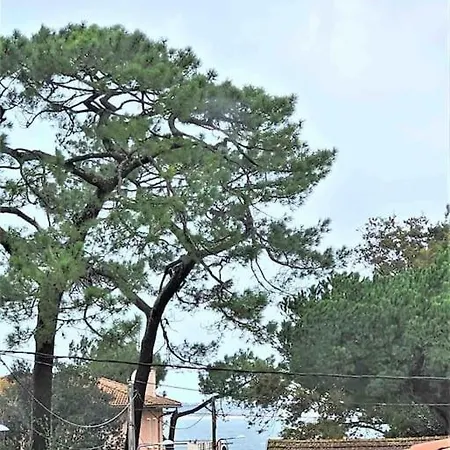 Studio Duplex Arcachon Exterior photo