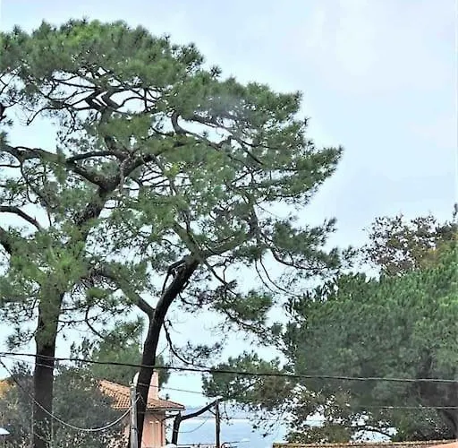 Studio Duplex Arcachon